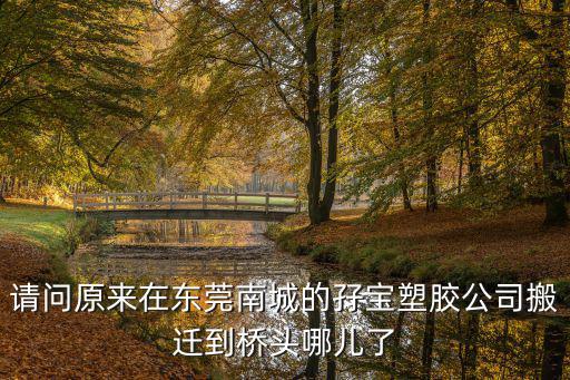請問原來在東莞南城的孖寶塑膠公司搬遷到橋頭哪兒了