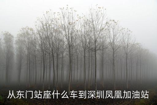 從東門站座什么車到深圳鳳凰加油站