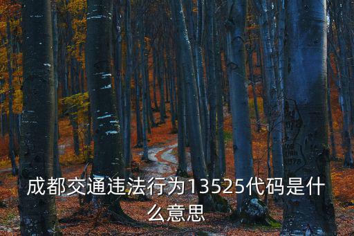 成都交通違法行為13525代碼是什么意思