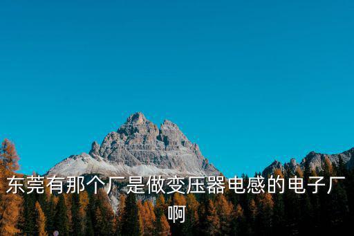東莞有那個廠是做變壓器電感的電子廠啊