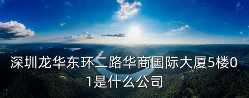 深圳龍華東環二路華商國際大廈5樓01是什么公司