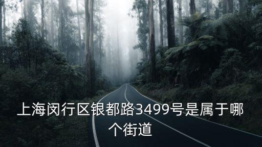 上海閔行區銀都路3499號是屬于哪個街道