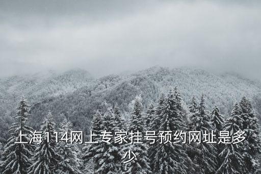 上海114網上專家掛號預約網址是多少