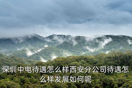 深圳中電待遇怎么樣西安分公司待遇怎么樣發展如何呢