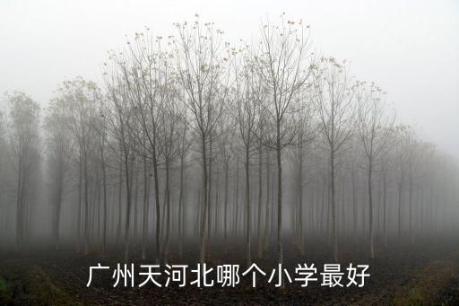 廣州天河北哪個(gè)小學(xué)最好