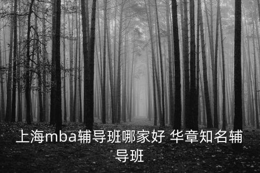 上海mba輔導(dǎo)班哪家好 華章知名輔導(dǎo)班