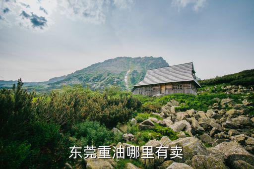 東莞市鴻運石油化工有限公司， 廣東東莞那里有冰醋酸賣