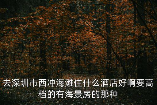 去深圳市西沖海灘住什么酒店好啊要高檔的有海景房的那種
