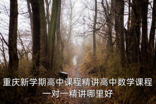 重慶新學期高中課程精講高中數(shù)學課程一對一精講哪里好