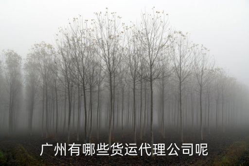 廣州有哪些貨運代理公司呢