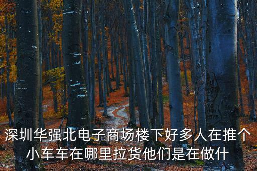 深圳華強北電子商場樓下好多人在推個小車車在哪里拉貨他們是在做什