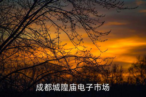 成都城隍廟電子市場