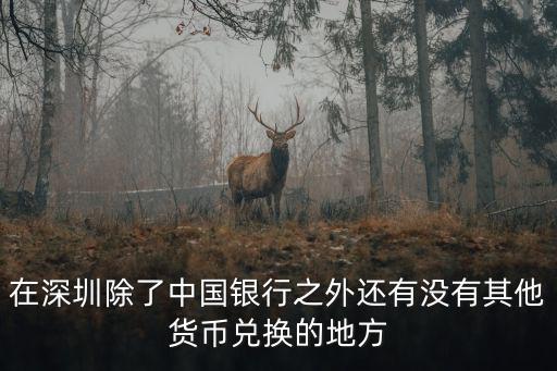 在深圳除了中國銀行之外還有沒有其他貨幣兌換的地方