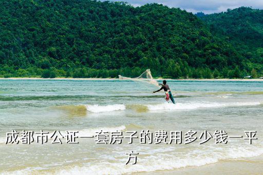 成都市公證一套房子的費(fèi)用多少錢一平方