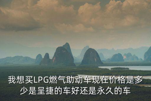 我想買LPG燃氣助動車現在價格是多少是呈捷的車好還是永久的車