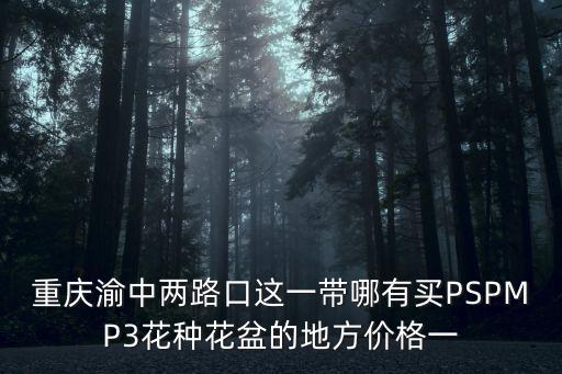 重慶渝中兩路口這一帶哪有買PSPMP3花種花盆的地方價格一