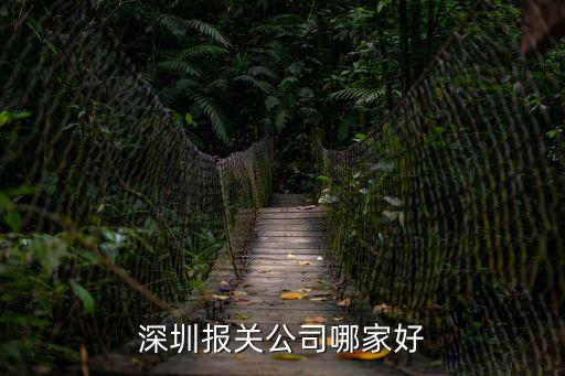 深圳報關公司哪家好
