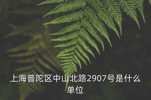 上海市普陀區(qū)市政配套綜合建設辦公室，上海報建市政配套征詢屬于哪些部門