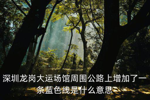 深圳龍崗大運(yùn)場(chǎng)館周?chē)飞显黾恿艘粭l藍(lán)色線(xiàn)是什么意思