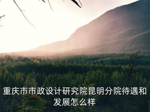 重慶市市政設計研究院昆明分院待遇和發展怎么樣