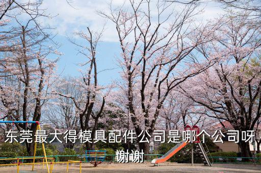 東莞最大得模具配件公司是哪個公司呀謝謝