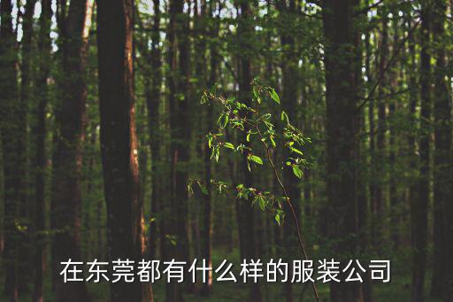 在東莞都有什么樣的服裝公司