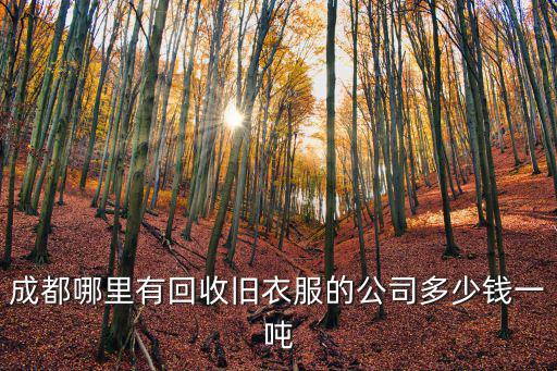 成都哪里有回收舊衣服的公司多少錢一噸