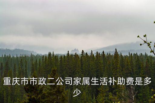 重慶市市政二公司家屬生活補助費是多少