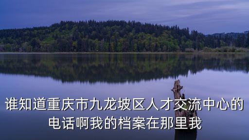 誰知道重慶市九龍坡區人才交流中心的電話啊我的檔案在那里我