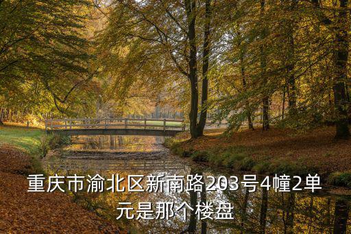 重慶市渝北區新南路203號4幢2單元是那個樓盤