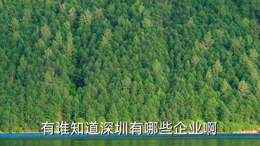 有誰知道深圳有哪些企業(yè)啊