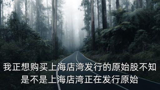 我正想購買上海店灣發行的原始股不知是不是上海店灣正在發行原始