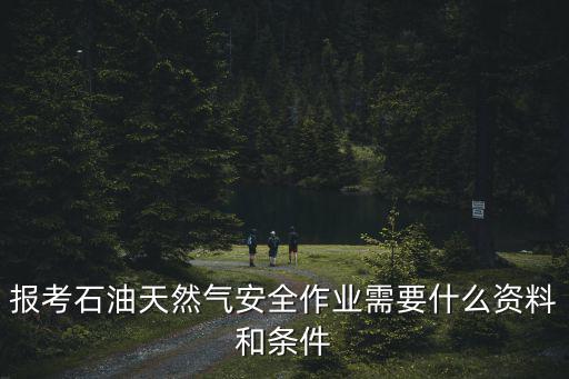 上海市安全管理資料，盛付通是在什么時候獲得上海市A級安全網站稱號的