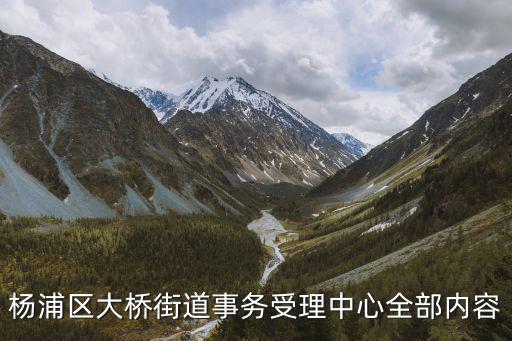 楊浦區大橋街道事務受理中心全部內容