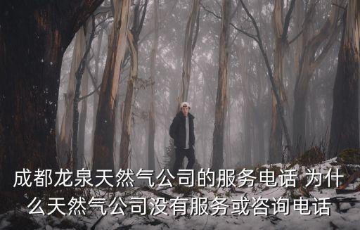 成都龍泉天然氣公司的服務電話 為什么天然氣公司沒有服務或咨詢電話