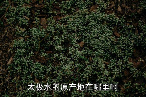 太極水的原產地在哪里啊