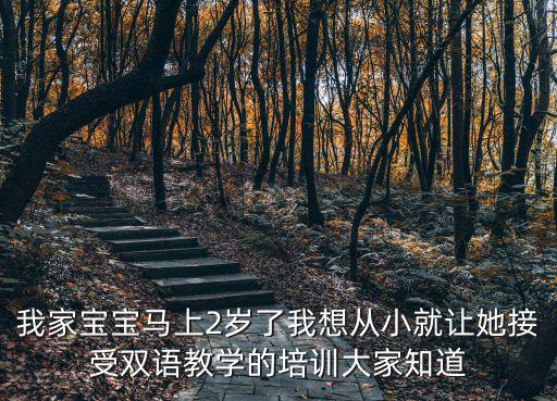 我家寶寶馬上2歲了我想從小就讓她接受雙語教學的培訓大家知道