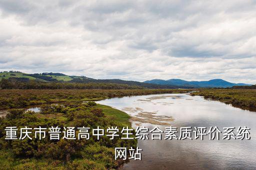 重慶市普通高中學(xué)生綜合素質(zhì)評價系統(tǒng)網(wǎng)站