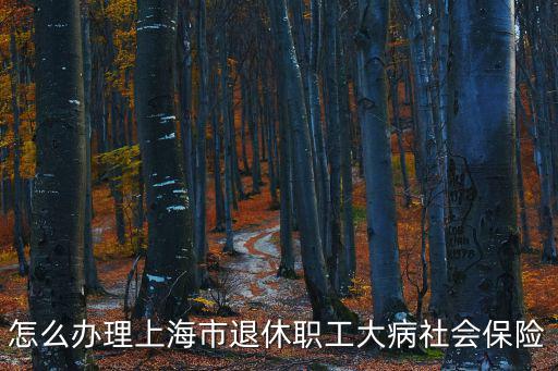怎么辦理上海市退休職工大病社會保險