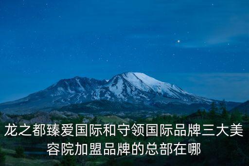 龍之都臻愛國際和守領國際品牌三大美容院加盟品牌的總部在哪