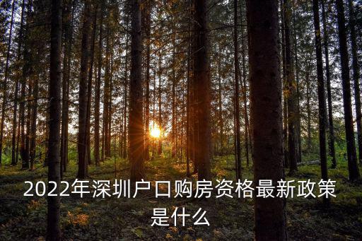 2022年深圳戶口購房資格最新政策是什么