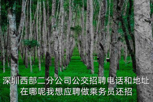 深圳西部二分公司公交招聘電話和地址在哪呢我想應(yīng)聘做乘務(wù)員還招