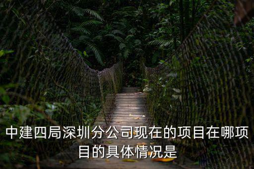 中建四局深圳分公司現在的項目在哪項目的具體情況是
