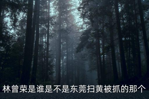 林曾榮是誰是不是東莞掃黃被抓的那個