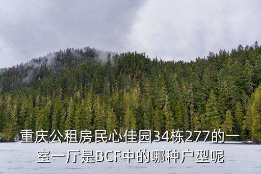 重慶公租房民心佳園34棟277的一室一廳是BCF中的哪種戶型呢