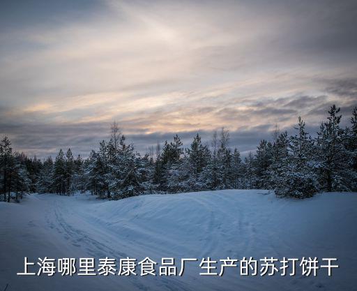 上海市泰康食品有限公司，閔行區華漕鎮吳北路158號是什么單位