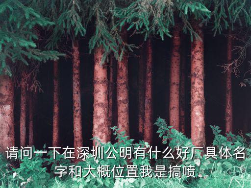 請問一下在深圳公明有什么好廠具體名字和大概位置我是搞噴