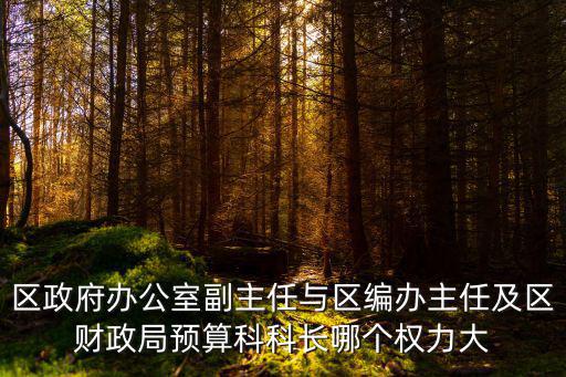 重慶市財政局預算處處長，舉例針對一個25歲的小伙子在財政局工作應該選其預算科還是辦公