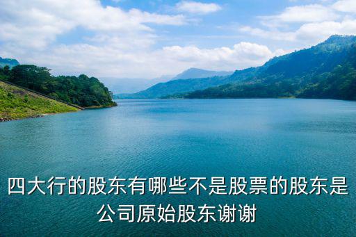 四大行的股東有哪些不是股票的股東是公司原始股東謝謝