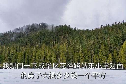 我想問一下成華區花徑路站東小學對面的房子大概多少錢一個平方